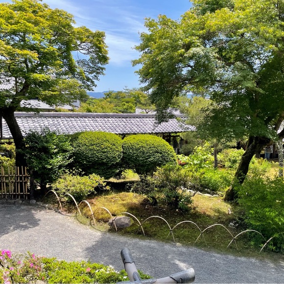 Meet your Posher, Malaika - Picture 8 of 9